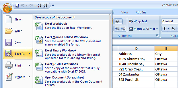 Export Excel Screenshot (Step 1)